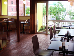 花とてんとう虫